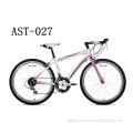 24-Inch Wheels Girl's BikeAST-027